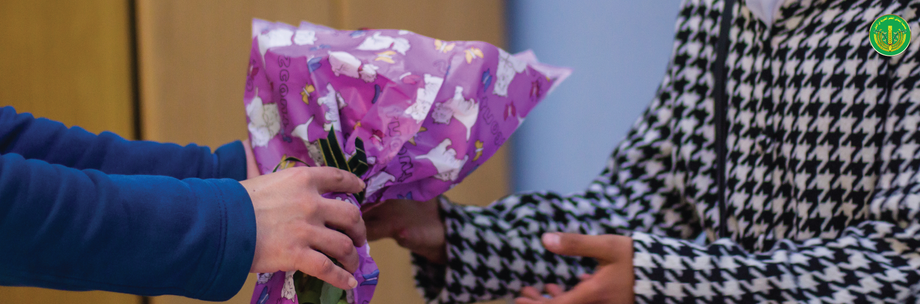 قسم الإدراج